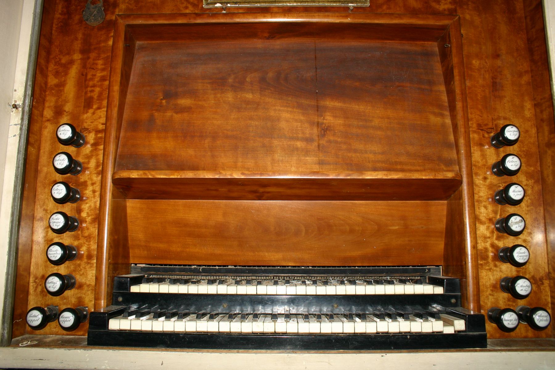 Fienstedt (1858)